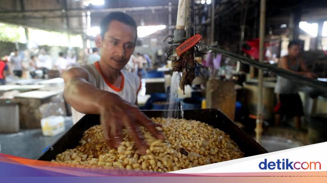 Harga Kedelai Lokal Anjlok, Pemerintah Turun Tangan