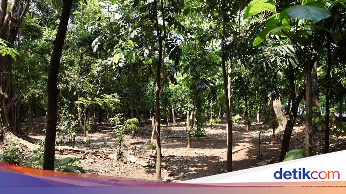 Heboh Lagi Taman Kota Cawang Jadi Sarang Asusila Sesama Lelaki